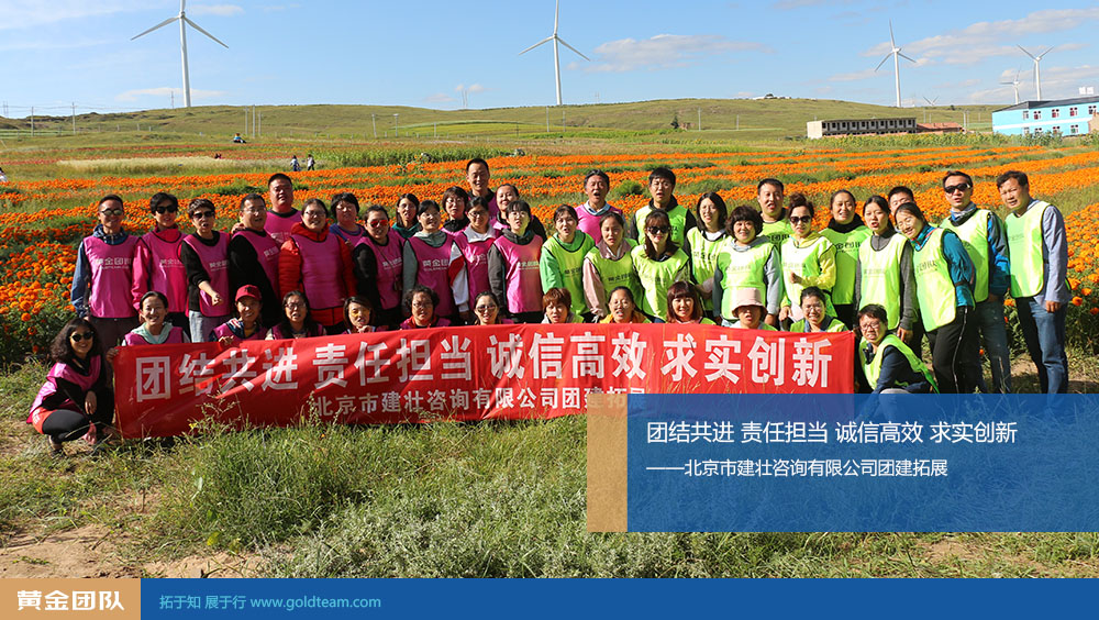 市建庄咨询公司常规团建